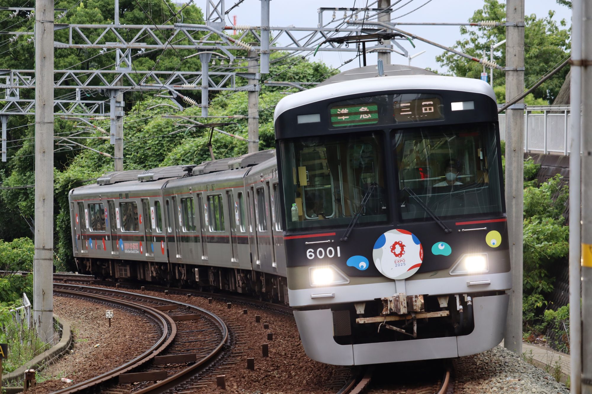 【撮影記録】神戸電鉄 6000系 万博ラッピング|房王寺踏切付近(作例・設定)